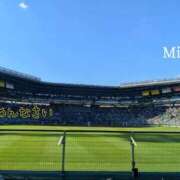 ヒメ日記 2025/11/10 12:35 投稿 みい リッチドールパート2梅田店