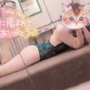 ヒメ日記 2026/02/14 01:15 投稿 みい リッチドールパート2梅田店