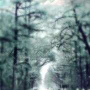 ヒメ日記 2026/03/04 13:01 投稿 みい リッチドールパート2梅田店