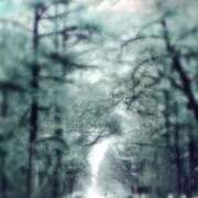 ヒメ日記 2026/03/04 13:05 投稿 みい リッチドールパート2梅田店