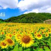 ヒメ日記 2026/07/18 02:14 投稿 みい リッチドールパート2梅田店