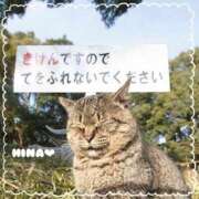 ヒメ日記 2025/02/15 12:41 投稿 ひな マリン千姫