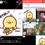 ヒメ日記 2025/02/19 00:11 投稿 ひな マリン千姫