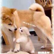 ヒメ日記 2025/05/19 12:17 投稿 ひな マリン千姫