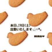 ヒメ日記 2025/07/19 14:26 投稿 ひな マリン千姫