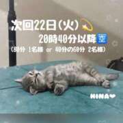 ヒメ日記 2025/07/19 23:17 投稿 ひな マリン千姫