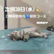 ヒメ日記 2025/07/27 23:16 投稿 ひな マリン千姫