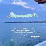 ヒメ日記 2025/07/30 23:26 投稿 ひな マリン千姫