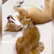 ヒメ日記 2025/08/26 13:02 投稿 ひな マリン千姫