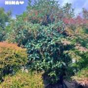 ヒメ日記 2025/10/21 12:40 投稿 ひな マリン千姫