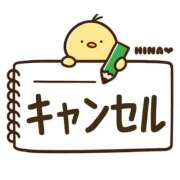 ヒメ日記 2025/11/20 09:12 投稿 ひな マリン千姫