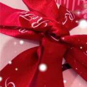 ヒメ日記 2025/11/27 10:36 投稿 ひな マリン千姫