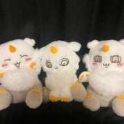 ヒメ日記 2025/07/10 13:20 投稿 なぎさ 浜松ハンパじゃない学園