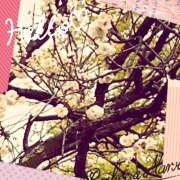 ヒメ日記 2025/02/08 08:25 投稿 丘 鶯谷ワンハート