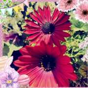 ヒメ日記 2025/02/23 08:24 投稿 丘 鶯谷ワンハート