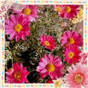 ヒメ日記 2025/02/28 02:21 投稿 丘 鶯谷ワンハート