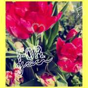 ヒメ日記 2025/03/02 08:22 投稿 丘 鶯谷ワンハート