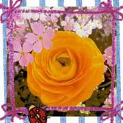 ヒメ日記 2025/03/10 04:02 投稿 丘 鶯谷ワンハート