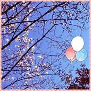 ヒメ日記 2025/03/12 02:28 投稿 丘 鶯谷ワンハート