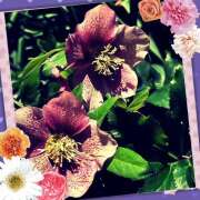 ヒメ日記 2025/03/18 03:19 投稿 丘 鶯谷ワンハート