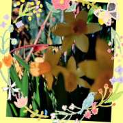 ヒメ日記 2025/03/26 02:54 投稿 丘 鶯谷ワンハート