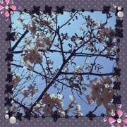 ヒメ日記 2025/03/28 02:48 投稿 丘 鶯谷ワンハート