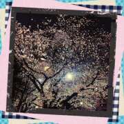 ヒメ日記 2025/03/29 08:20 投稿 丘 鶯谷ワンハート