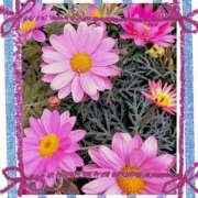 ヒメ日記 2025/04/07 03:01 投稿 丘 鶯谷ワンハート