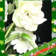 ヒメ日記 2025/04/08 04:12 投稿 丘 鶯谷ワンハート