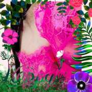 ヒメ日記 2025/04/12 08:33 投稿 丘 鶯谷ワンハート