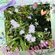 ヒメ日記 2025/04/16 03:27 投稿 丘 鶯谷ワンハート