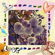 ヒメ日記 2025/04/18 03:23 投稿 丘 鶯谷ワンハート