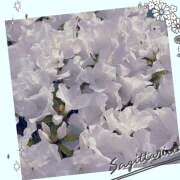 ヒメ日記 2025/04/23 02:48 投稿 丘 鶯谷ワンハート