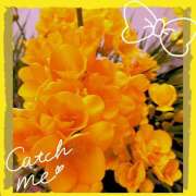 ヒメ日記 2025/04/28 02:30 投稿 丘 鶯谷ワンハート