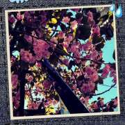 ヒメ日記 2025/04/30 03:15 投稿 丘 鶯谷ワンハート