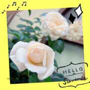 ヒメ日記 2025/05/20 02:23 投稿 丘 鶯谷ワンハート