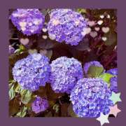 ヒメ日記 2025/05/25 08:26 投稿 丘 鶯谷ワンハート