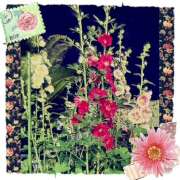 ヒメ日記 2025/07/26 08:48 投稿 丘 鶯谷ワンハート