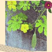 ヒメ日記 2025/09/13 08:20 投稿 丘 鶯谷ワンハート