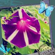 ヒメ日記 2025/09/20 08:22 投稿 丘 鶯谷ワンハート