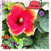 ヒメ日記 2025/10/26 08:45 投稿 丘 鶯谷ワンハート