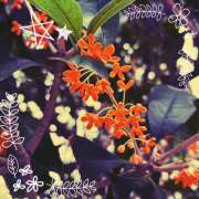 ヒメ日記 2025/11/02 08:24 投稿 丘 鶯谷ワンハート