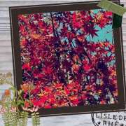 ヒメ日記 2025/11/29 08:31 投稿 丘 鶯谷ワンハート