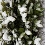 ヒメ日記 2026/02/08 09:45 投稿 丘 鶯谷ワンハート