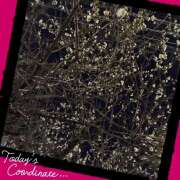 ヒメ日記 2026/02/11 08:23 投稿 丘 鶯谷ワンハート