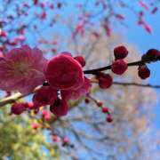 ヒメ日記 2026/02/22 08:22 投稿 丘 鶯谷ワンハート