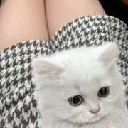 ヒメ日記 2025/10/14 16:30 投稿 なごみ 大人の遊園地