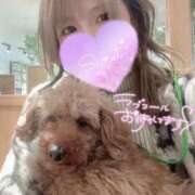 ヒメ日記 2025/03/04 22:42 投稿 みひろ 奥様はエンジェル　相模原店