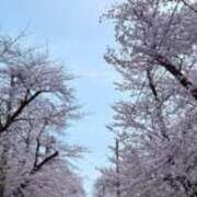 ヒメ日記 2025/04/05 17:29 投稿 ゆみ 白いぽっちゃりさん五反田店