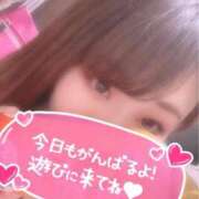 ヒメ日記 2025/10/09 17:19 投稿 ゆみ 白いぽっちゃりさん五反田店